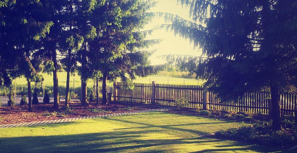 Swierkowe Zacisze Nałęczów Cameră foto